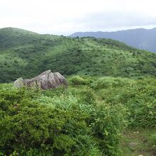 岩樋山から道後山をのぞむ。