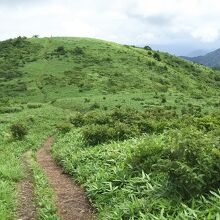 道後山山頂まで草原が続く。