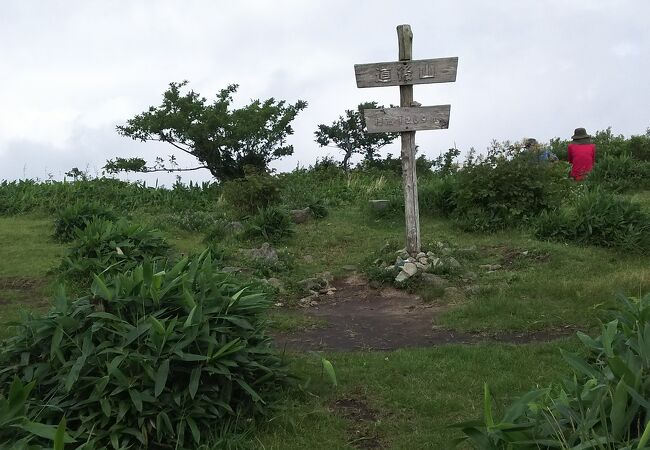 草原と多くの花々が迎える、快適な山歩き