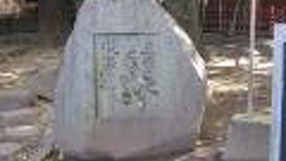 思いを馳せてしまう