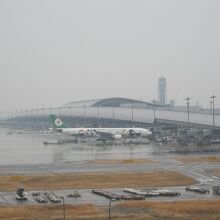 飛来機はまだまだ少ないですが…。