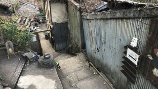 猫の細道（広島県尾道）：何が楽しいやら