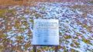 「さっぽろ・ふるさと文化百選」