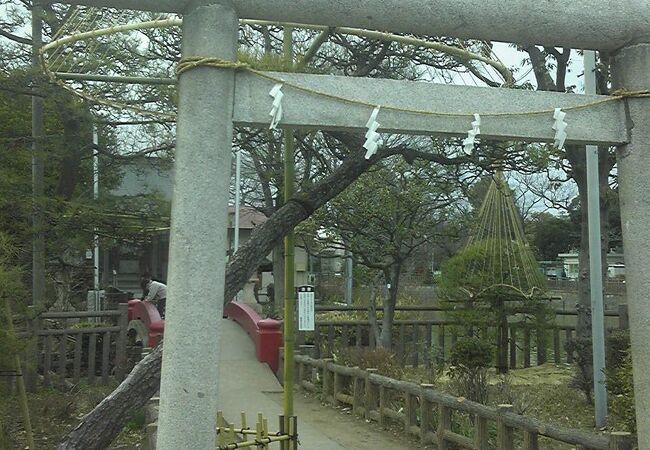 公園内の小さな神社