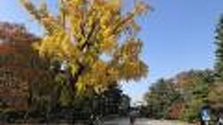 四季折々の風景が美しい