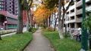 行ってみました！