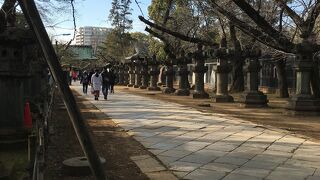 灯篭沿いを歩く