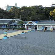 名勝・桂浜にある小さな水族館