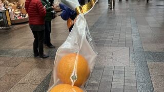 宮崎県産　フルーツきんかん　もらえました(^^)