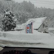 今年は大雪ー！