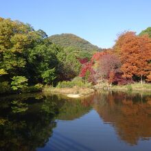 みくるま池と甲山