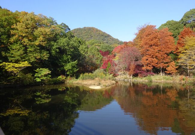 甲山森林公園 クチコミ アクセス 営業時間 西宮 芦屋 フォートラベル