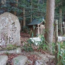 鳥地獄の所から