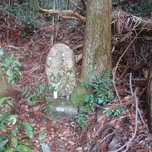 文字がもう見えません