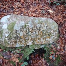 虫地獄には穴が。。。