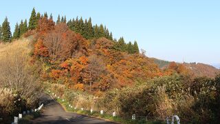 紅葉と景色がすばらしかったです。