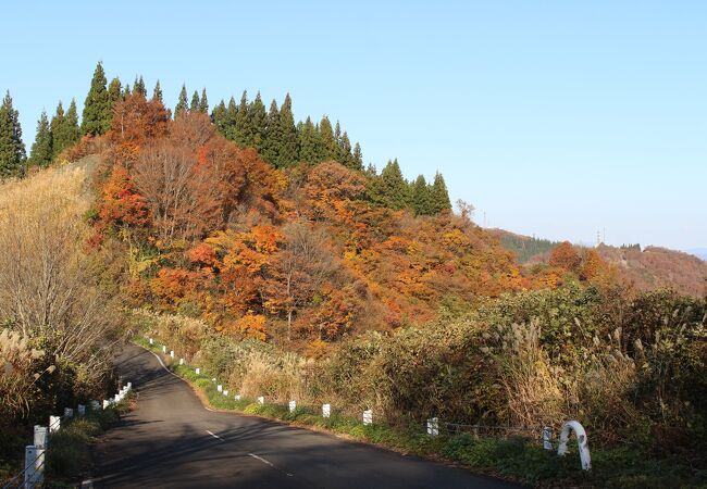 紅葉と景色がすばらしかったです。