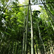 竹の庭で有名な報国寺