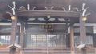 牡丹の花が有名だけど時期外れだった！