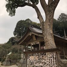 平日の昼頃だと空いているようです