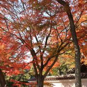 紅葉の季節に訪問しました。