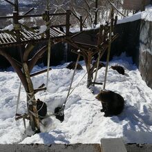 女の子グループ