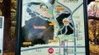 広々とした緑豊かな公園でした。