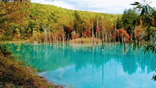 訪れるたび見え方が違う