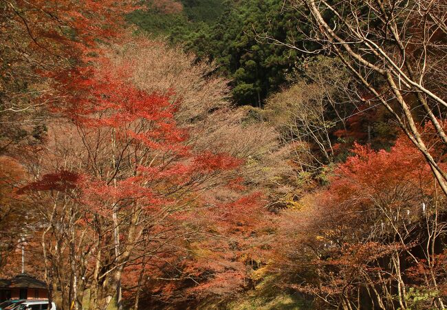 蓬莱山と三滝