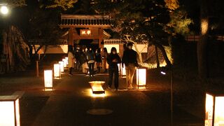 足利灯り物語でライトアップ時に訪問しました。