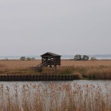 浮島湿原の風景