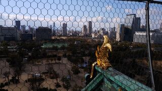 大阪市内を展望するスポットとして秀逸。