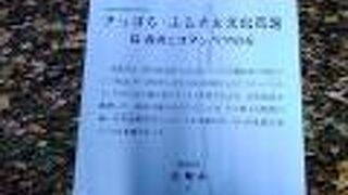 紅葉が美しすぎる円山公園の中にありました。