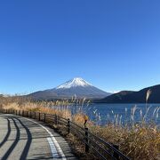展望公園からの富士山はみごと