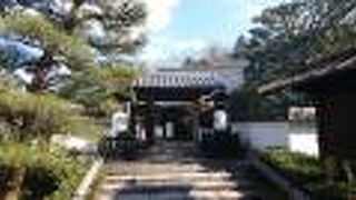 ２０２２年葉ボタンアート