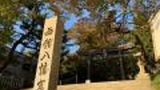 神社は朝日を浴びて