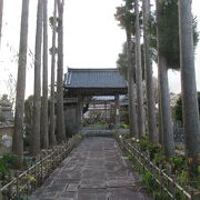能見松平家の菩提寺ですが、墓所は２人だけです。