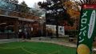 北海道大学内にあります。