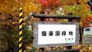 小さな緑地です。