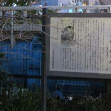 夕方だったのでブレてしまいました。