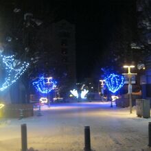 観光客の姿は殆ど見られない静かな時間が楽しめます