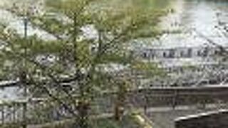 桜の時期にまた訪れたい