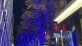 栄の冬のイルミネーション