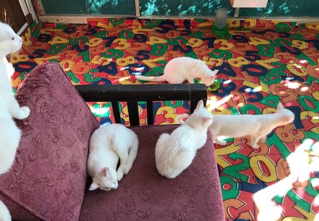 トルコのテーマパーク 動物園 水族館 植物園 クチコミ人気ランキング フォートラベル