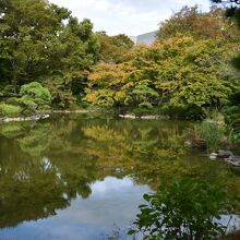 紅葉の時期の雲形池