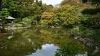 都心の公園にある憩いの池