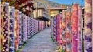 日中は観光客が大勢