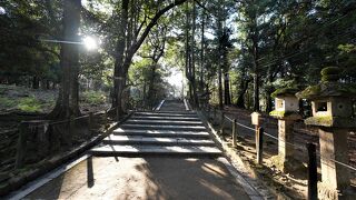 ここから若草山，東大寺二月堂，大仏殿まで歩くコースが大好きだ　大晦日の朝は最高