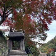 桜と紅葉