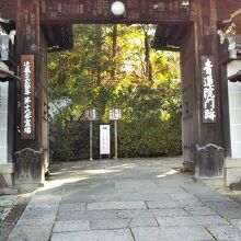 青蓮院門跡 夜間特別拝観